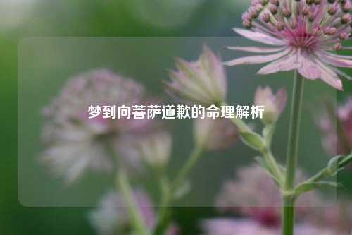 梦到向菩萨道歉的命理解析